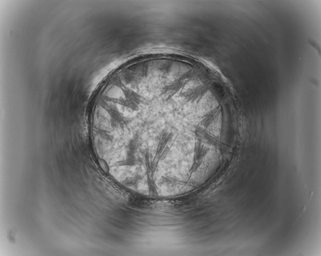 X0000102491167200808291643