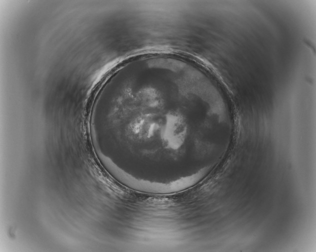 X0000102491168200808291643