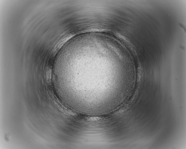 X0000102491169200808291643