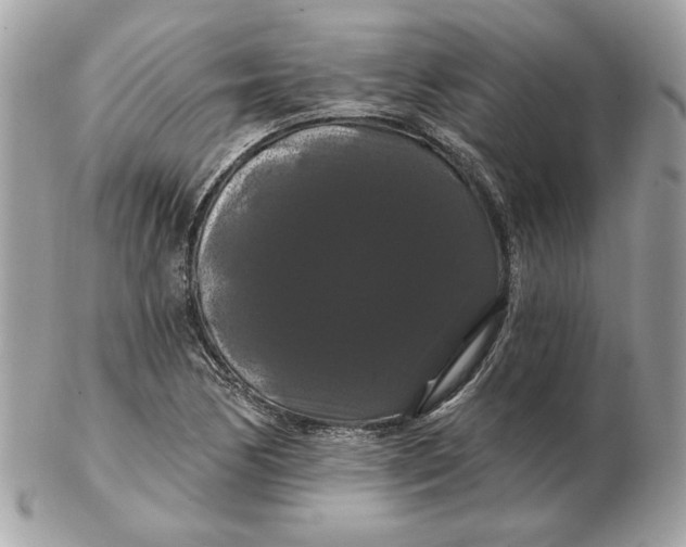 X0000102491170200808291643