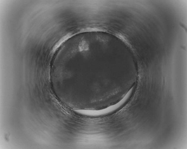 X0000102491173200808291643