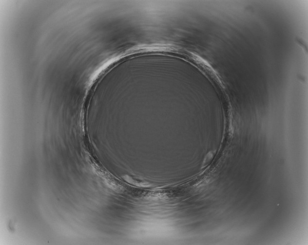 X0000102491174200808291643