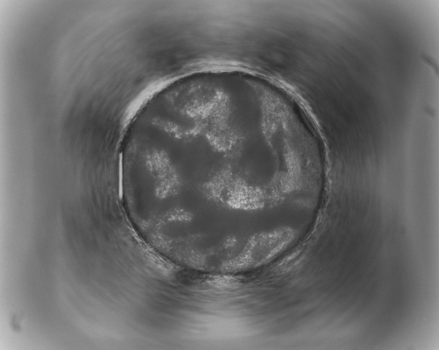 X0000102491175200808291642