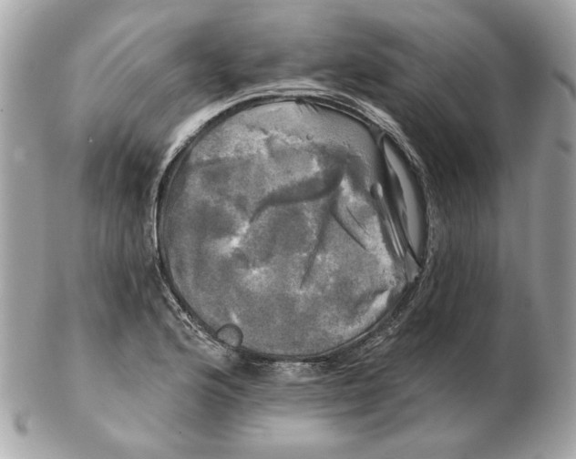 X0000102491176200808291642