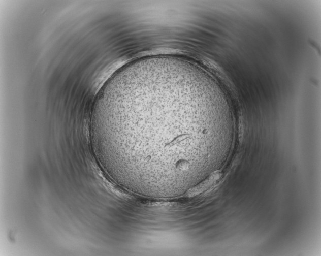 X0000102491177200808291642