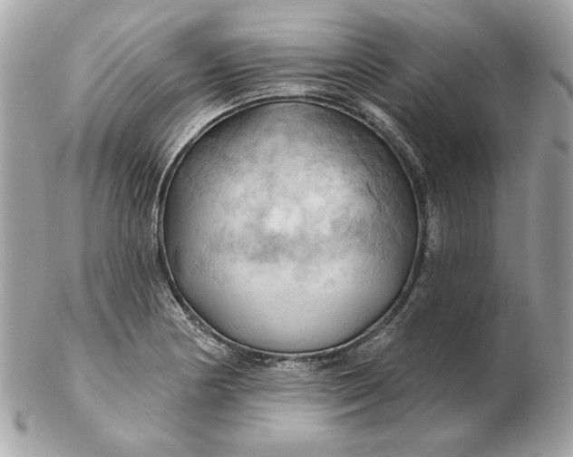 X0000102491178200808291642