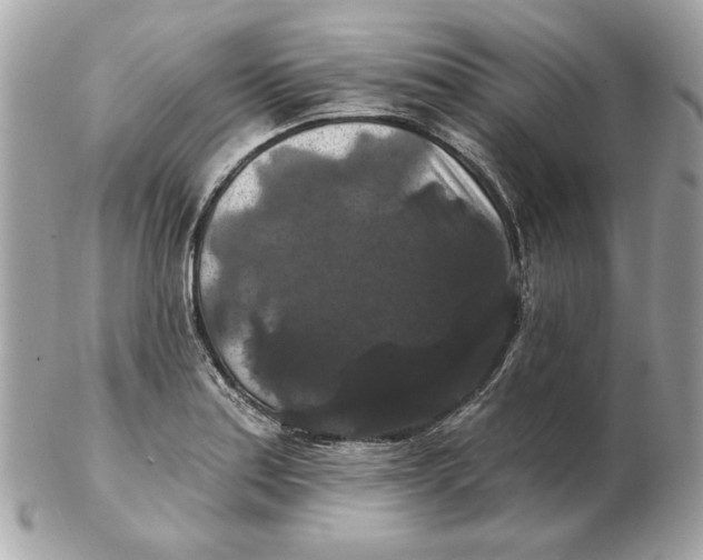 X0000102491179200808291642