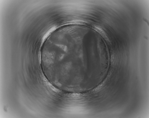 X0000102491180200808291642