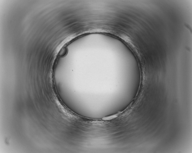 X0000102491181200808291642