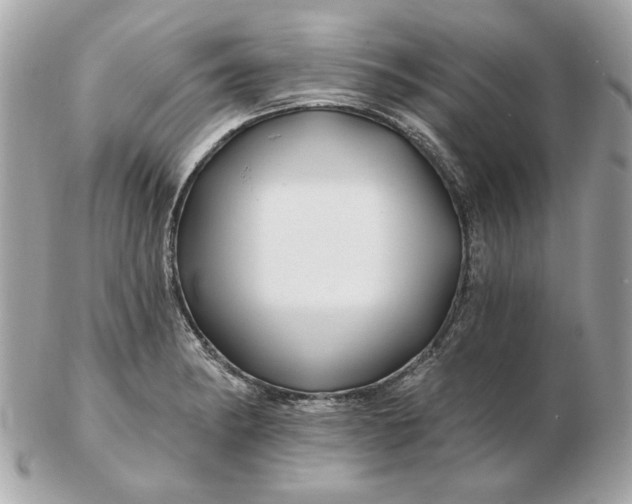 X0000102491182200808291642