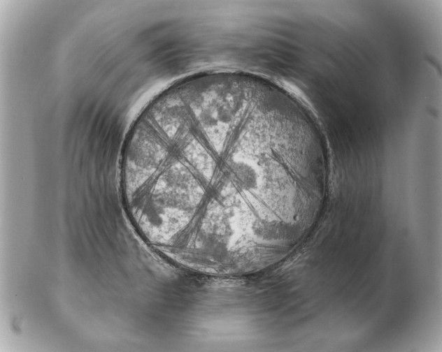 X0000102491183200808291642