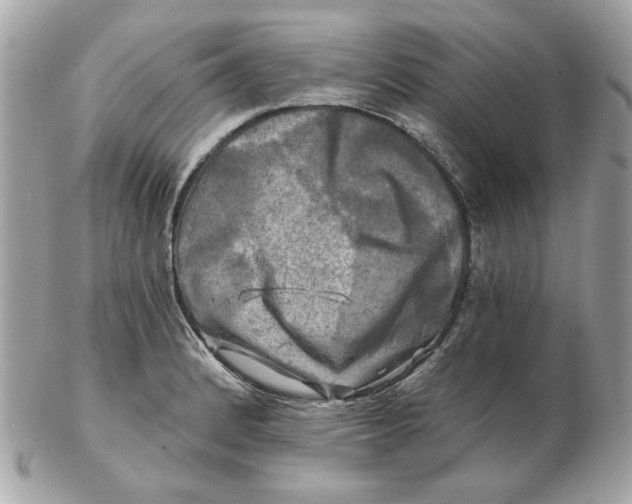 X0000102491184200808291642