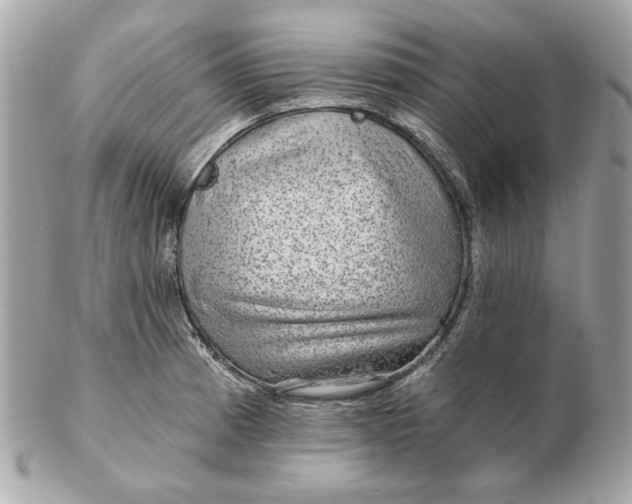 X0000102491185200808291642