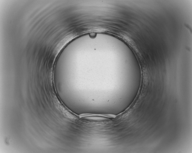 X0000102491186200808291642