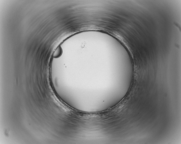 X0000102491187200808291642