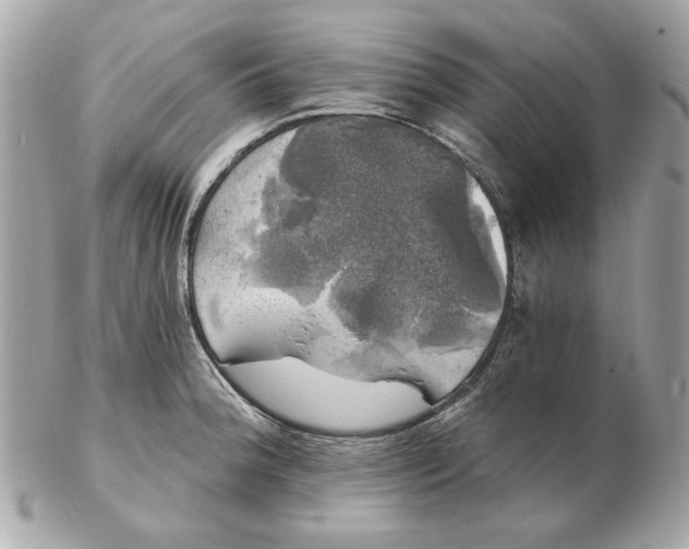 X0000102491188200808291642