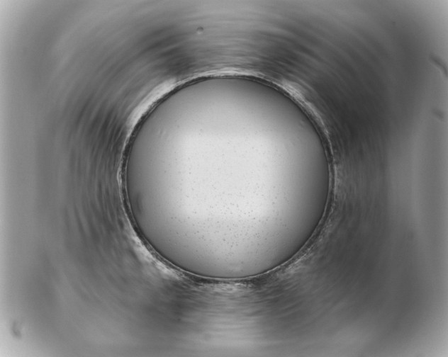 X0000102491189200808291642