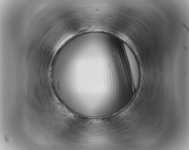 X0000102491190200808291642