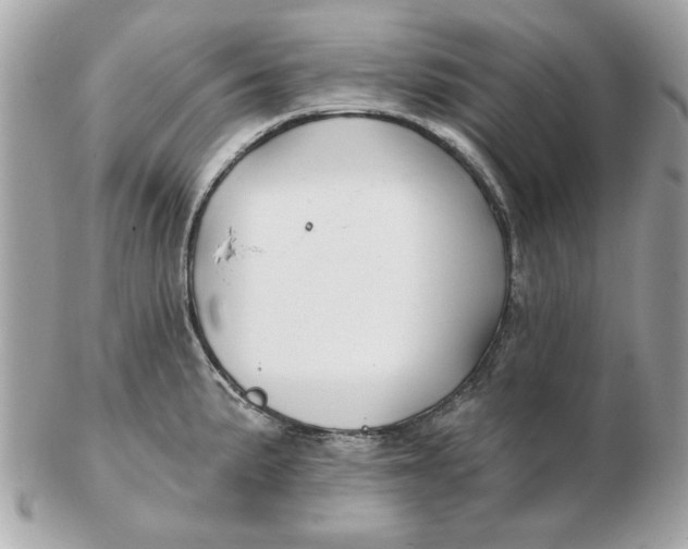 X0000102491191200808291642