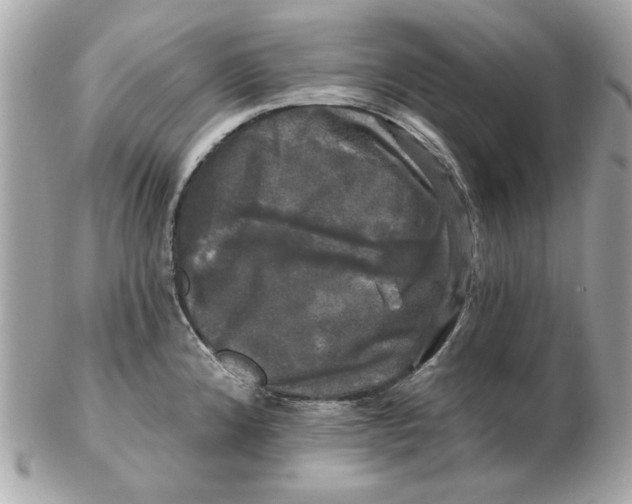 X0000102491192200808291642