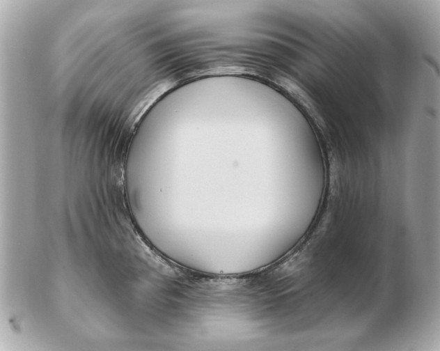 X0000102491193200808291642