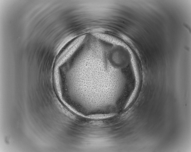 X0000102491194200808291642