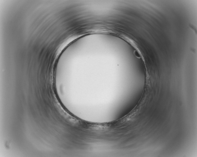 X0000102491195200808291642