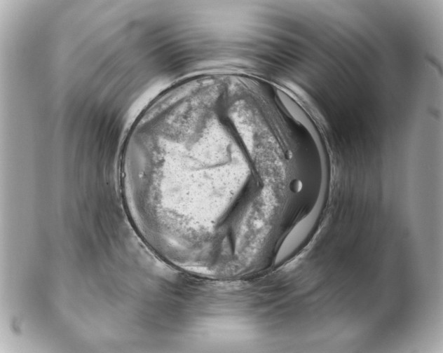 X0000102491196200808291642