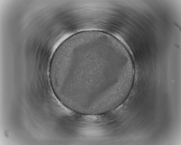 X0000102491197200808291642