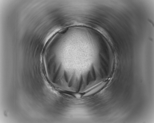 X0000102491198200808291642