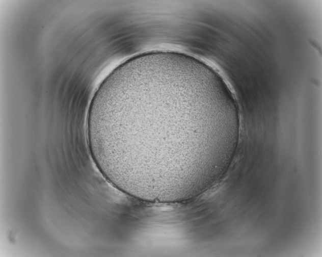 X0000102491199200808291642