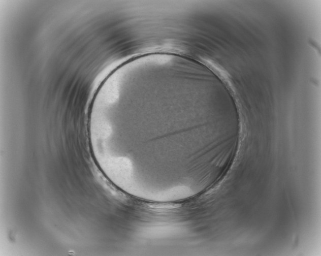 X0000102491200200808291642