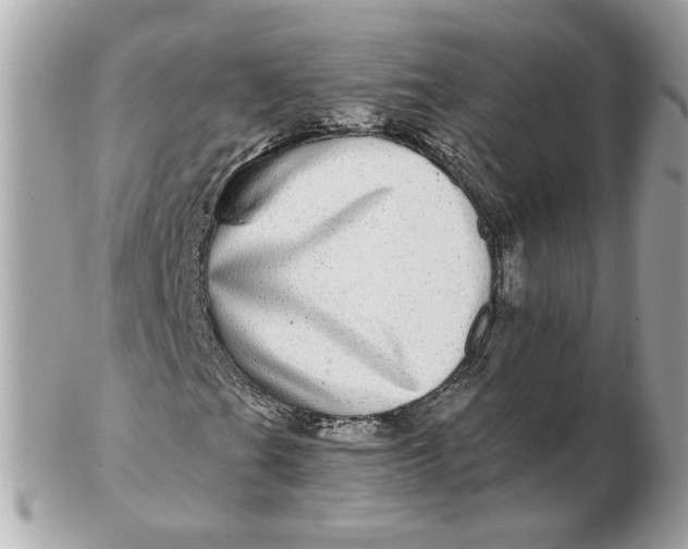 X0000102491201200808291641