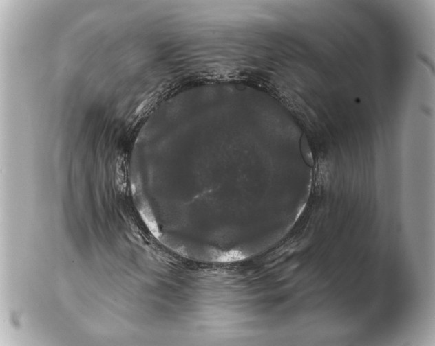 X0000102491202200808291641