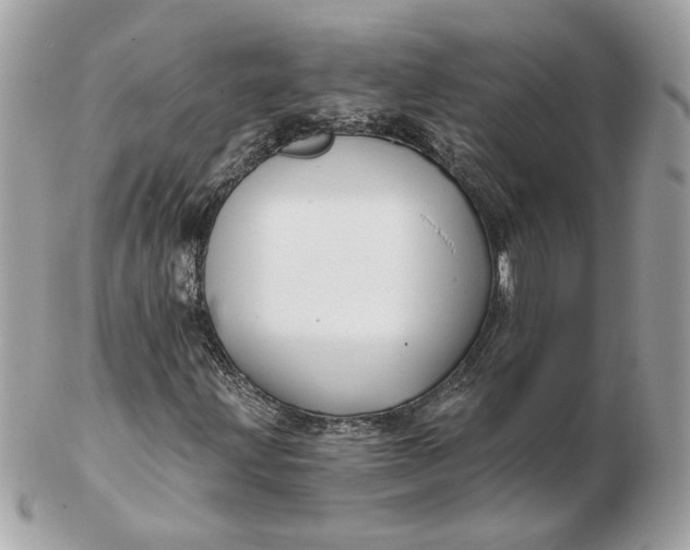 X0000102491203200808291641