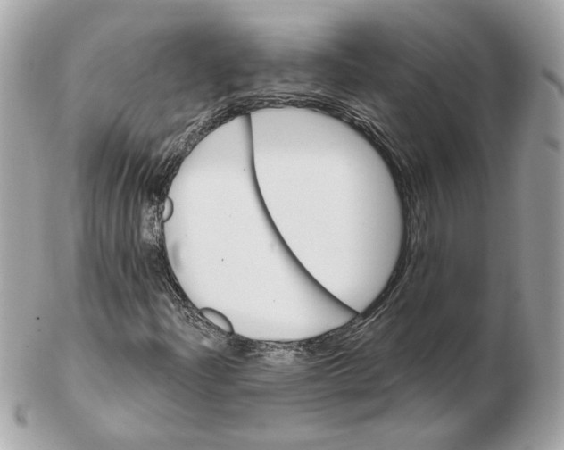 X0000102491204200808291641