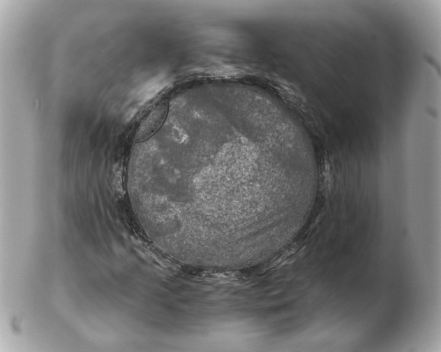 X0000102491205200808291641