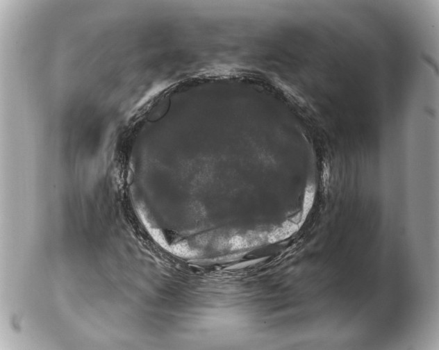 X0000102491206200808291641