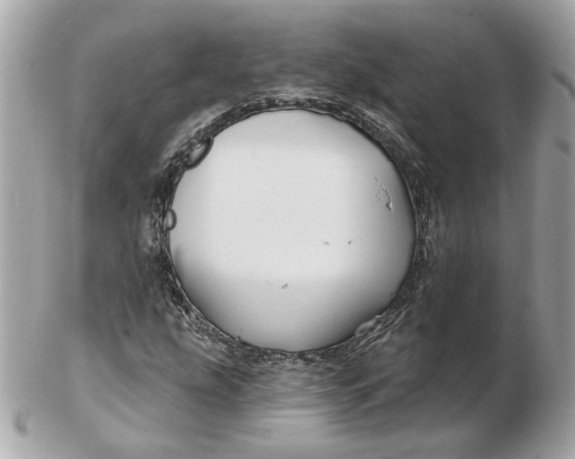 X0000102491207200808291641