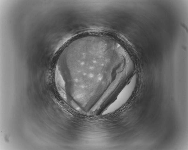 X0000102491208200808291641