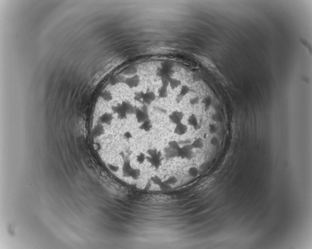 X0000102491209200808291641