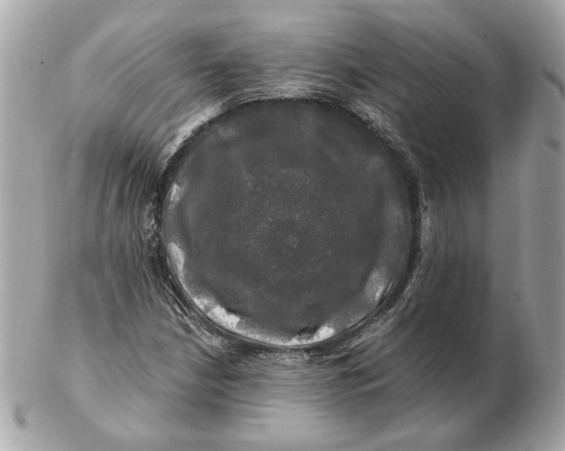 X0000102491210200808291641