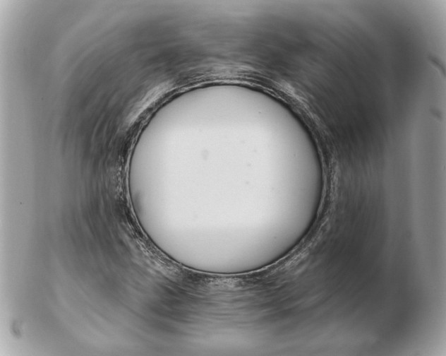 X0000102491211200808291641