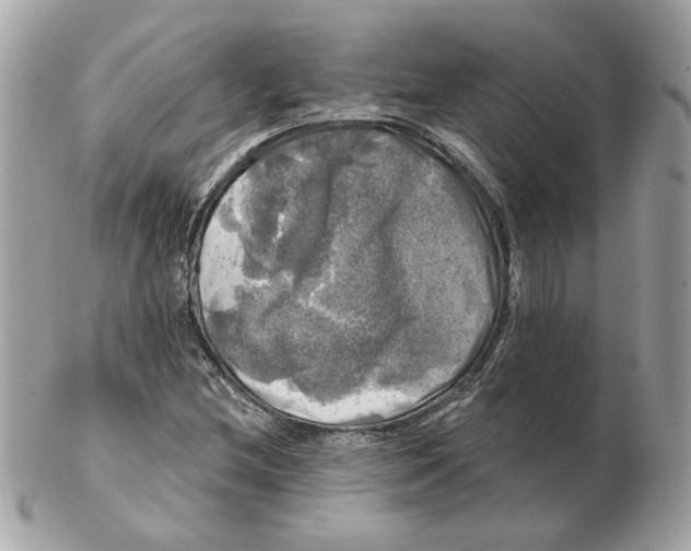 X0000102491212200808291641