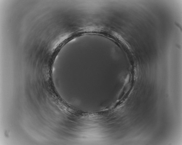 X0000102491213200808291641