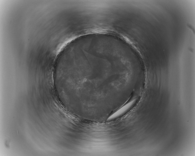 X0000102491214200808291641