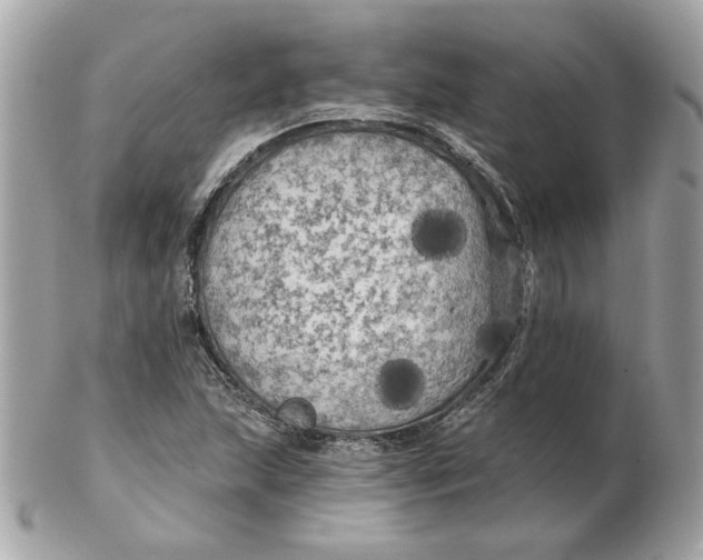 X0000102491215200808291641