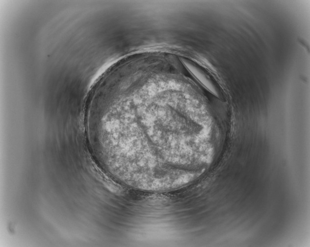 X0000102491216200808291641