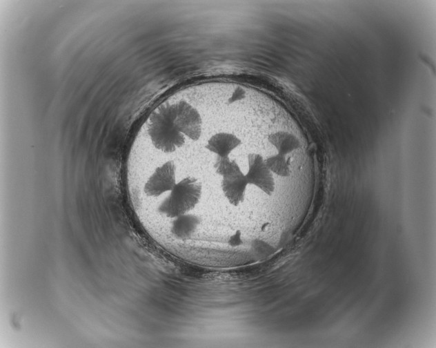 X0000102491217200808291641