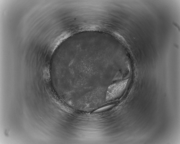 X0000102491218200808291642